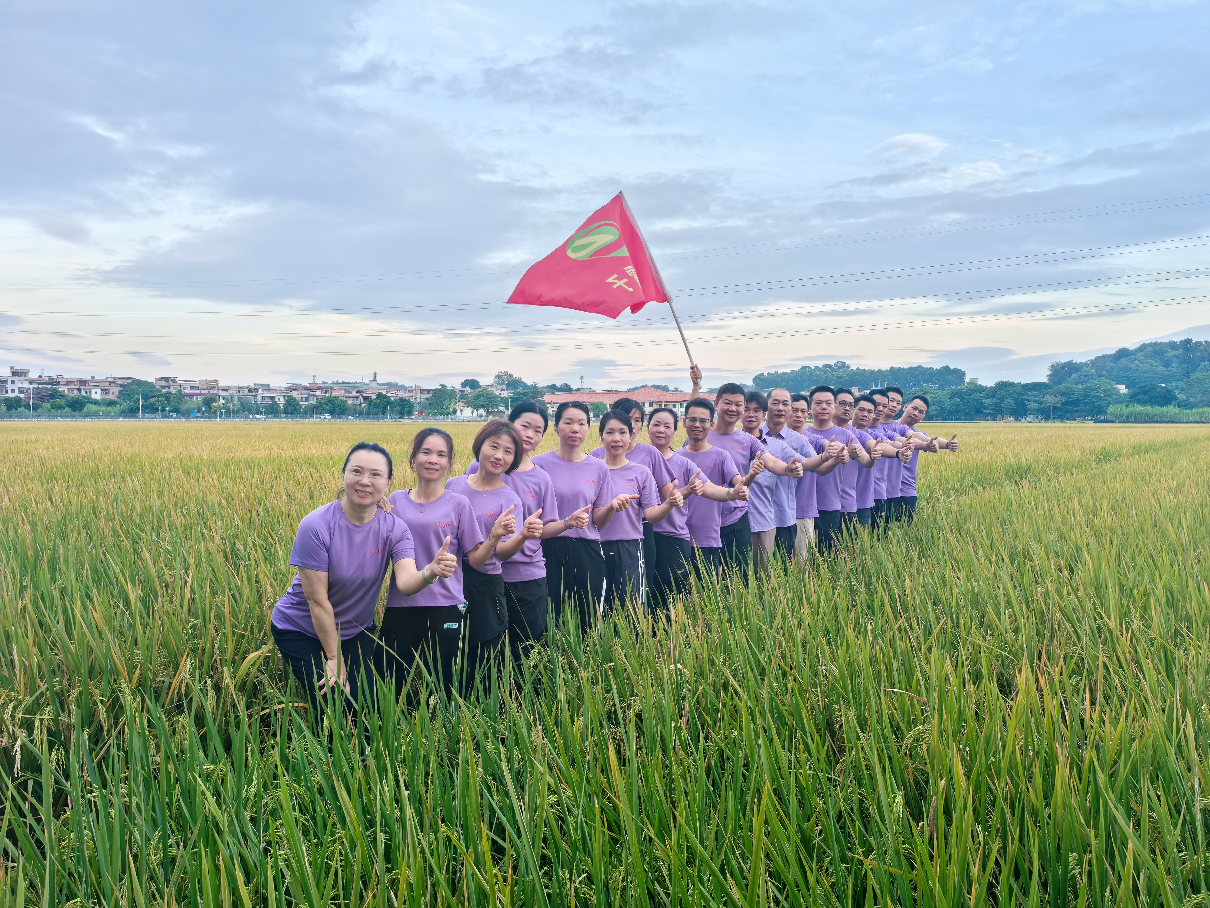 f86d1f0d70548f788652885fec3ef9e